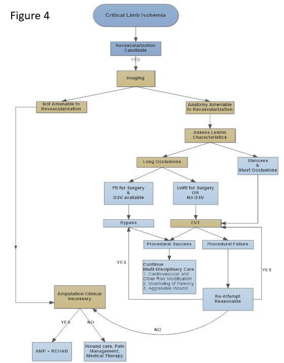 Method of Revascularization: Surgical vs Endovascular Revascularization ...