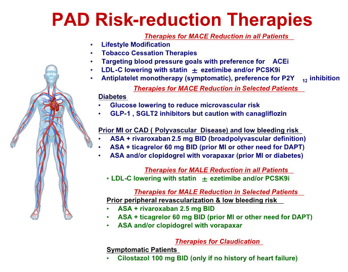 Summary and Conclusions – The Society for Vascular Medicine